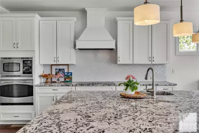 1060 Dublin Court, China Grove, NC 28023 - Photo 20