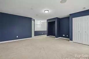 17503 Harbor Walk Drive, Cornelius, NC 28031 - Photo 28