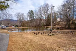 193 Freedom Rd, Hendersonville, NC 28792 - Photo 22