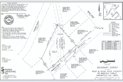 Tbd Magnolia Avenue, Kannapolis, NC 28081 - Photo 2