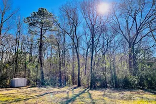 1207 Kennerly Rd, Irmo, SC 29063 - Photo 48