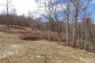 202 Honor Ln, Hendersonville, NC 28792 - Photo 10