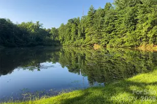 460 Cascades Pkwy, Nebo, NC 28761 - Photo 48