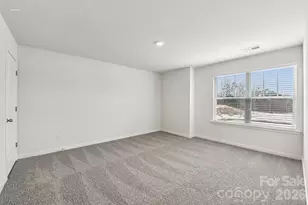 618 Dazzle Loop, Newton, NC 28658 - Photo 18