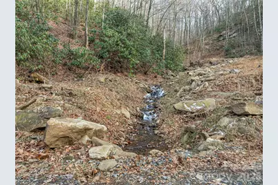 119 Wildflower Cove Drive, Swannanoa, NC 28778 - Photo 26