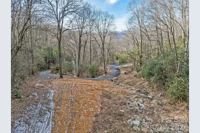 119 Wildflower Cove Drive, Swannanoa, NC 28778 - Photo 1