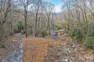 119 Wildflower Cove Dr, Swannanoa, NC 28778 - Photo 1