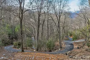119 Wildflower Cove Dr, Swannanoa, NC 28778 - Photo 1
