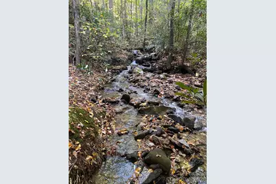 119 Wildflower Cove Drive, Swannanoa, NC 28778 - Photo 6