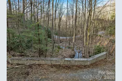 119 Wildflower Cove Drive, Swannanoa, NC 28778 - Photo 18