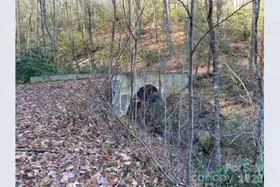 119 Wildflower Cove Drive, Swannanoa, NC 28778 - Photo 8