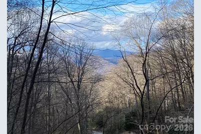 119 Wildflower Cove Drive, Swannanoa, NC 28778 - Photo 2