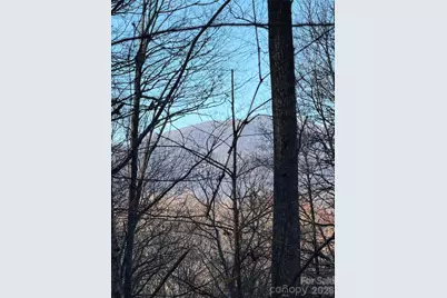 119 Wildflower Cove Drive, Swannanoa, NC 28778 - Photo 10