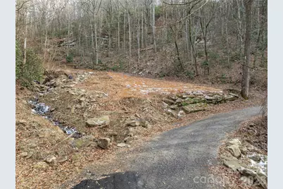 119 Wildflower Cove Drive, Swannanoa, NC 28778 - Photo 10