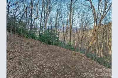 119 Wildflower Cove Drive, Swannanoa, NC 28778 - Photo 20