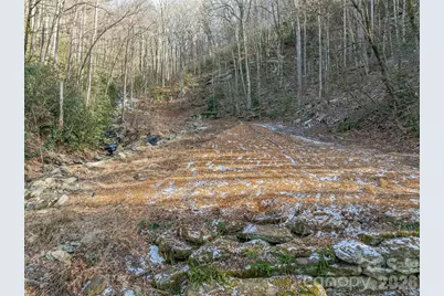119 Wildflower Cove Drive, Swannanoa, NC 28778 - Photo 8
