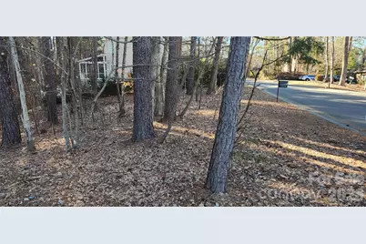 11176 Water Trace Drive, Fort Mill, SC 29708 - Photo 14