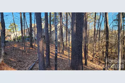 11176 Water Trace Drive, Fort Mill, SC 29708 - Photo 16