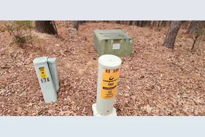 11176 Water Trace Drive, Fort Mill, SC 29708 - Photo 28