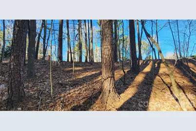 11176 Water Trace Drive, Fort Mill, SC 29708 - Photo 16