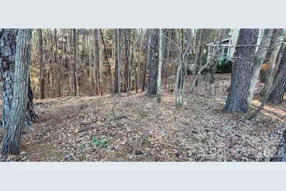 11176 Water Trace Drive, Fort Mill, SC 29708 - Photo 18