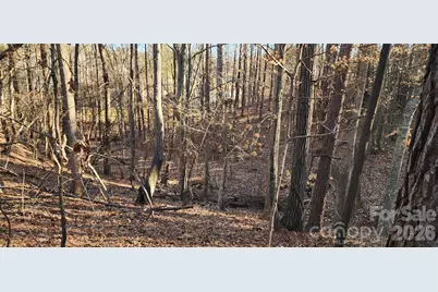 11176 Water Trace Drive, Fort Mill, SC 29708 - Photo 22