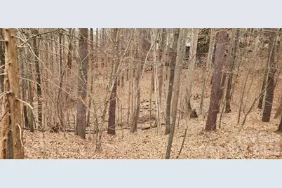 11176 Water Trace Drive, Fort Mill, SC 29708 - Photo 24