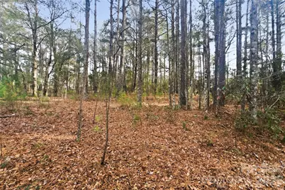 252 Long Corner Road, Whiteville, NC 28472 - Photo 8