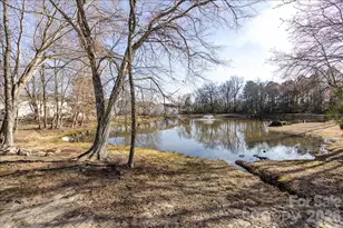 224 Azteca Dr, Stallings, NC 28104 - Photo 46