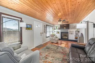 110 Dillingham Cir, Asheville, NC 28805 - Photo 4