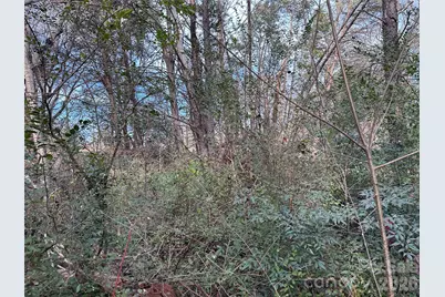 0 Bristol Drive, Statesville, NC 28677 - Photo 40