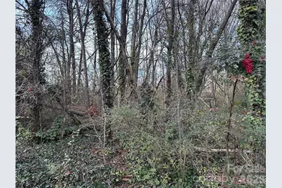 0 Bristol Drive, Statesville, NC 28677 - Photo 42