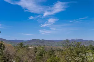9 Dianthus Dr, Asheville, NC 28803 - Photo 36