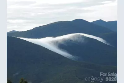 126 Wildflower Cove Drive, Swannanoa, NC 28778 - Photo 32