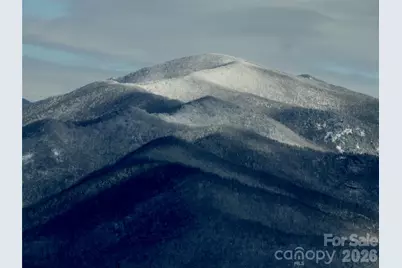 126 Wildflower Cove Drive, Swannanoa, NC 28778 - Photo 28