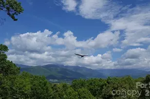 126 Wild Flower Cove Dr, Swannanoa, NC 28778 - Photo 42