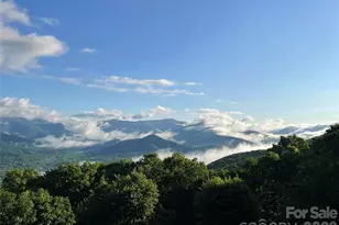 126 Wild Flower Cove Dr, Swannanoa, NC 28778 - Photo 44