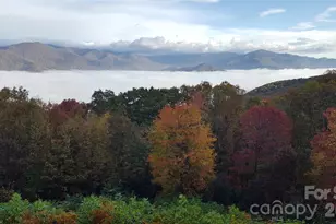 126 Wild Flower Cove Dr, Swannanoa, NC 28778 - Photo 36