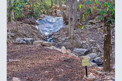 126 Wildflower Cove Drive, Swannanoa, NC 28778 - Photo 8