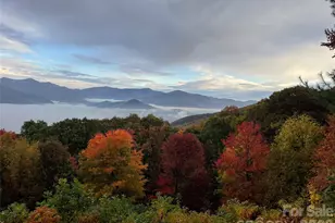 126 Wild Flower Cove Dr, Swannanoa, NC 28778 - Photo 46