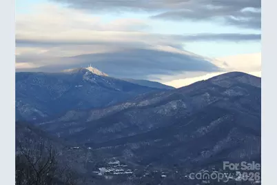 126 Wildflower Cove Drive, Swannanoa, NC 28778 - Photo 30