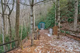 126 Wild Flower Cove Dr, Swannanoa, NC 28778 - Photo 8