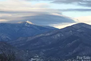 126 Wild Flower Cove Dr, Swannanoa, NC 28778 - Photo 32