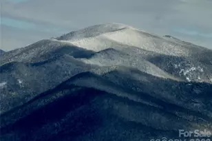 126 Wild Flower Cove Dr, Swannanoa, NC 28778 - Photo 30