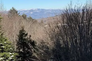 266 Lost Mine Trl, Brevard, NC 28712 - Photo 46