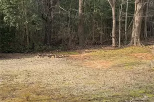 None Fritts Ave, Fort Mill, SC 29715 - Photo 1