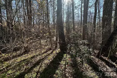 0 Clarence Towery Circle, Hildebran, NC 28637 - Photo 6