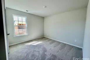 14016 Wooden Snow Trce, Charlotte, NC 28278 - Photo 16