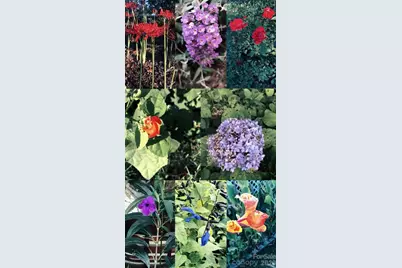 1237 New Crest Lane, Shelby, NC 28150 - Photo 40