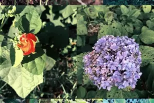 1237 New Crest Ln, Shelby, NC 28150 - Photo 40